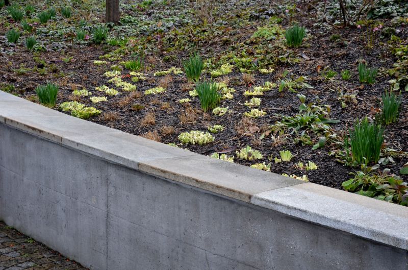 Increase Your Retaining Walls Longevity
